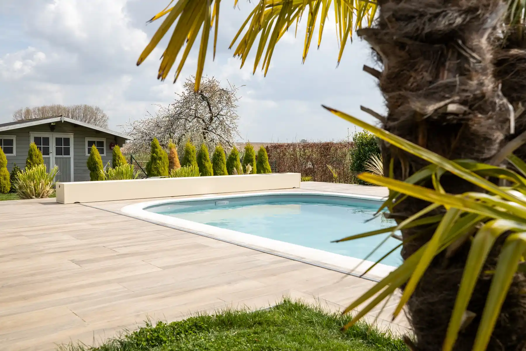 Chez-Charlotte-et-Pierre-1 Une piscine entourée de dalles en bois, avec un palmier au premier plan et un cabanon gris en arrière-plan.